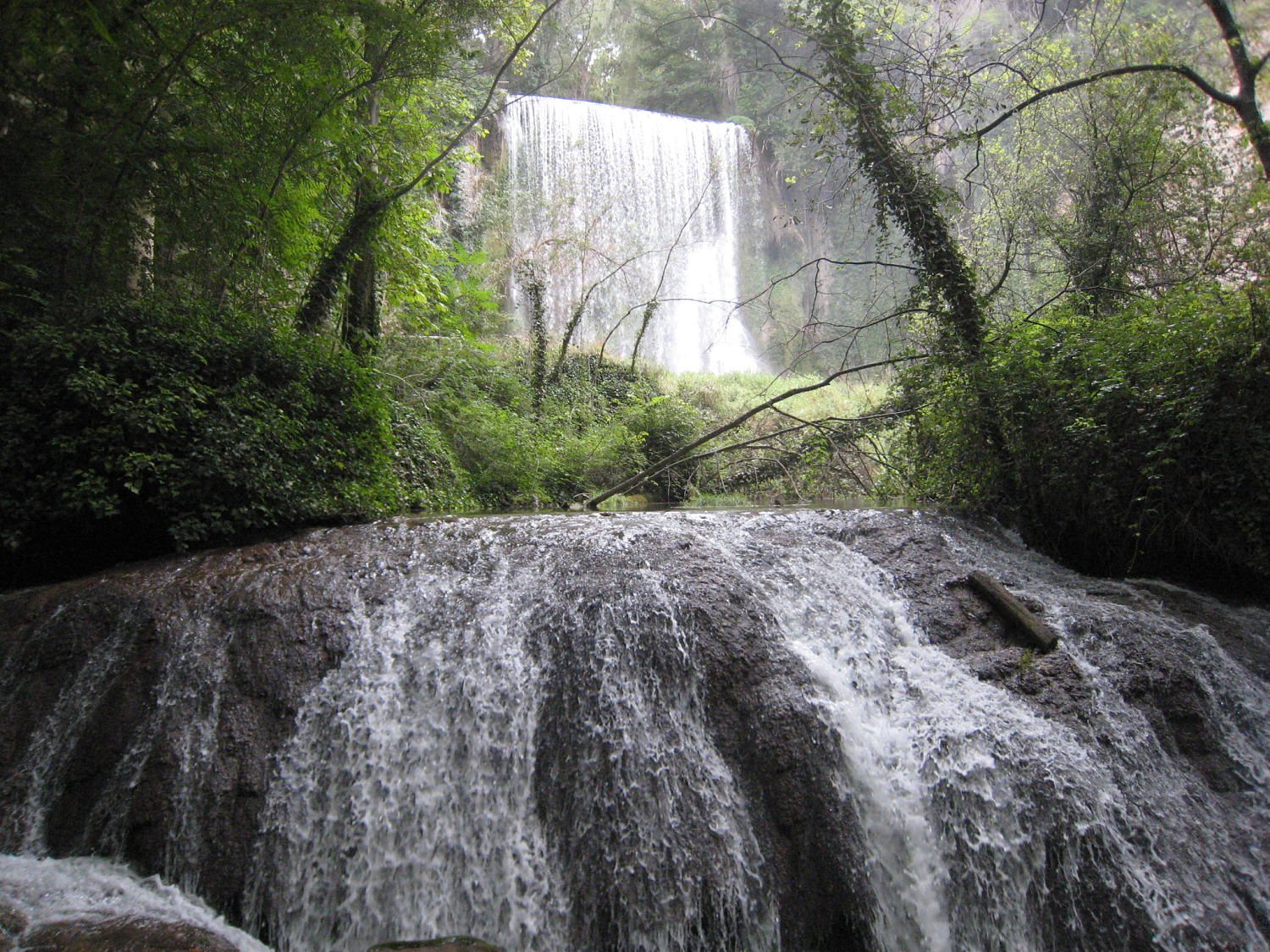 presentacion-centre-vida-magica_opt